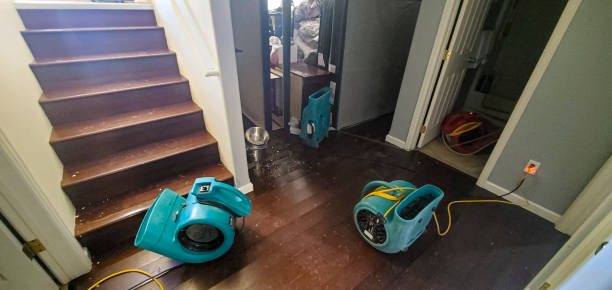 Best Flooded house restoration  in Greenville, DE