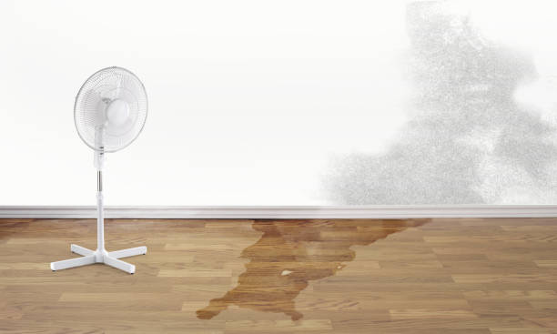 Greenville, DE Water damage restoration Company