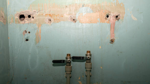 Best Ceiling water damage repair  in Greenville, DE