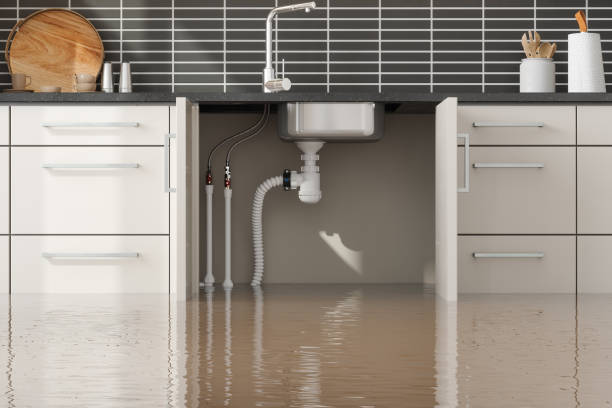 Best Flood restoration services  in Greenville, DE