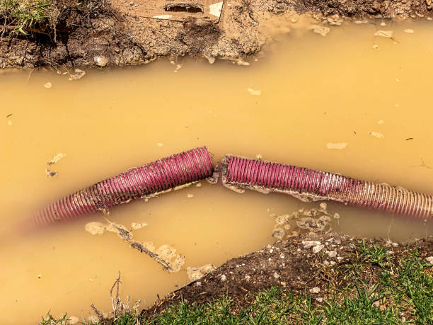 Best Emergency water damage restoration  in Greenville, DE