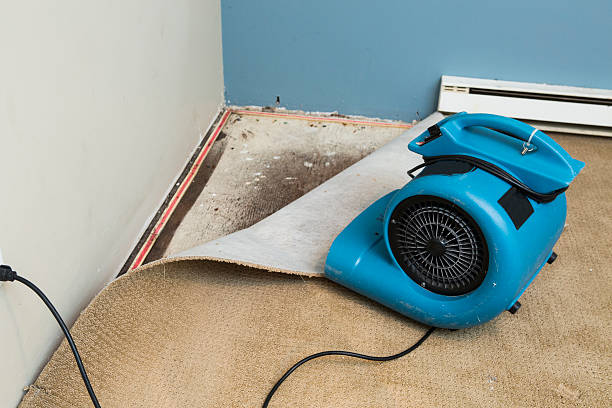 Best Water damage cleanup near me  in Greenville, DE