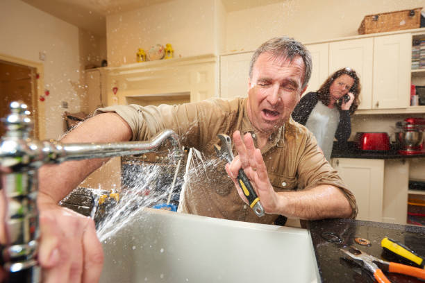 Best Water damage contractors near me  in Greenville, DE
